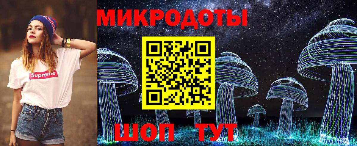 Галлюциногенные грибы прущие грибы Камень-на-Оби